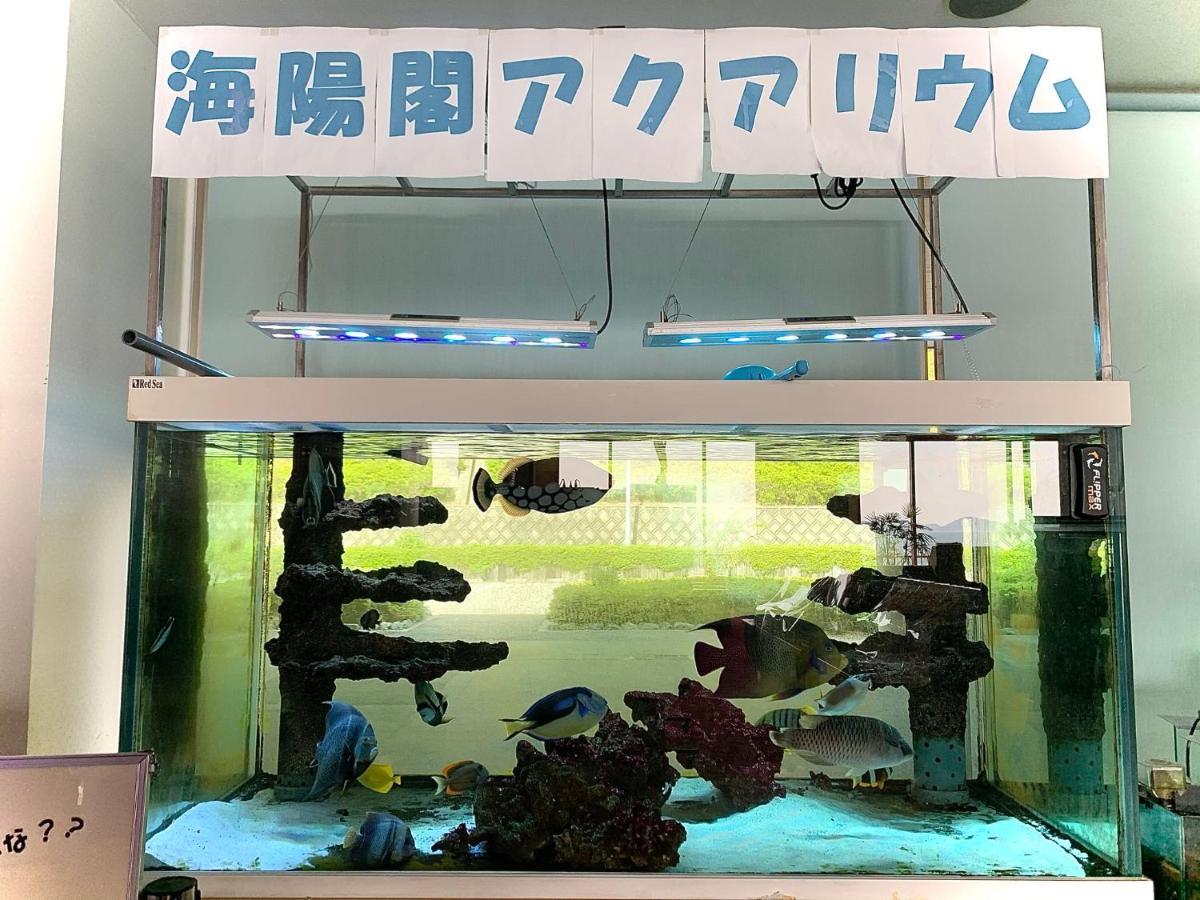 蒲郡市 海阳阁日式旅馆酒店 外观 照片