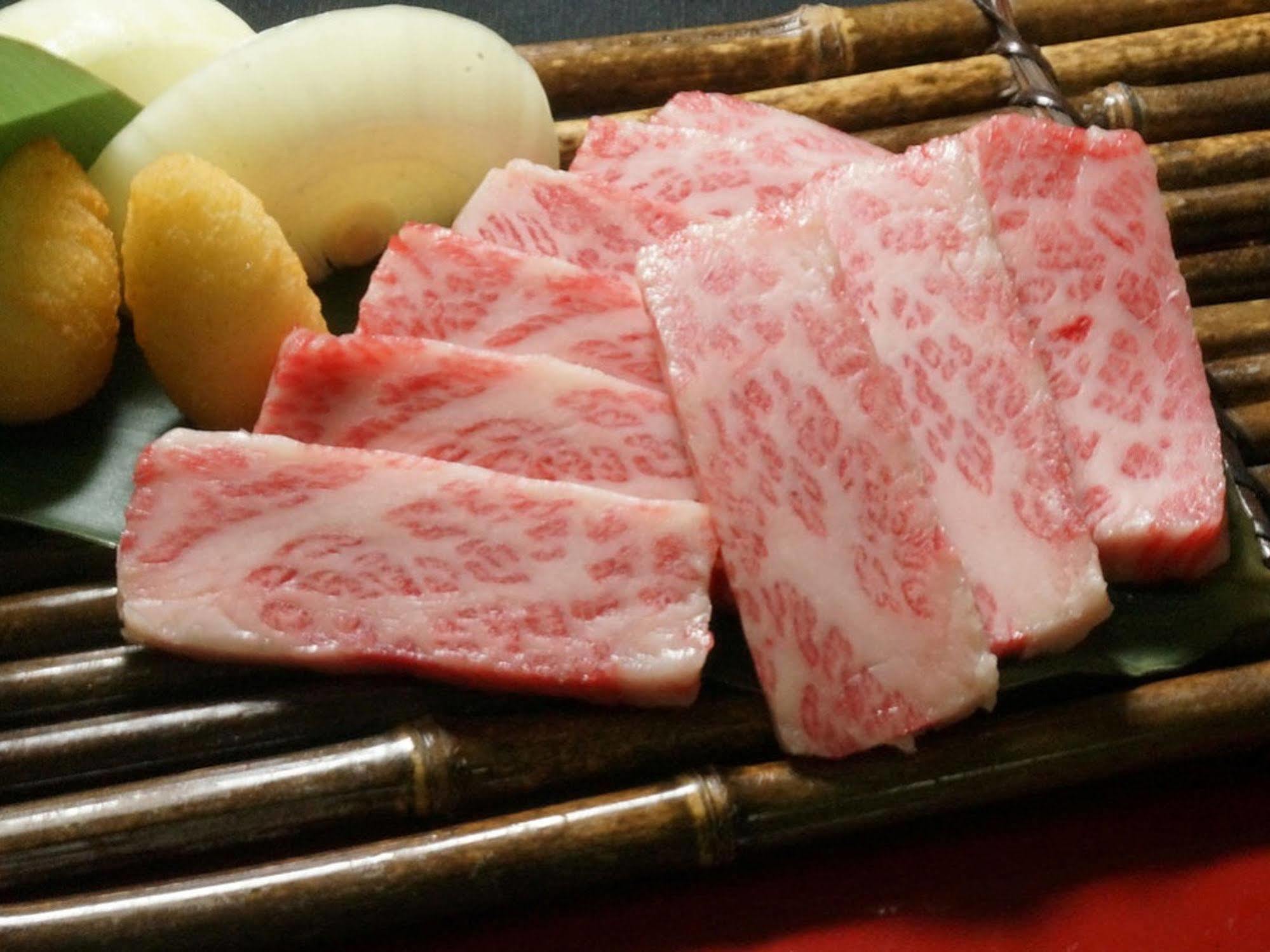 蒲郡市 海阳阁日式旅馆酒店 外观 照片